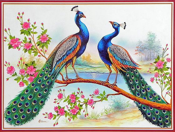 Indian National Bird - Poster - 18.5 x 14.5 inches - Unframed